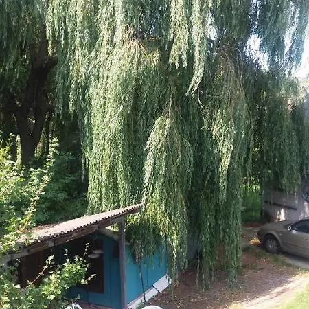 Vakáció * Balatonalmádi